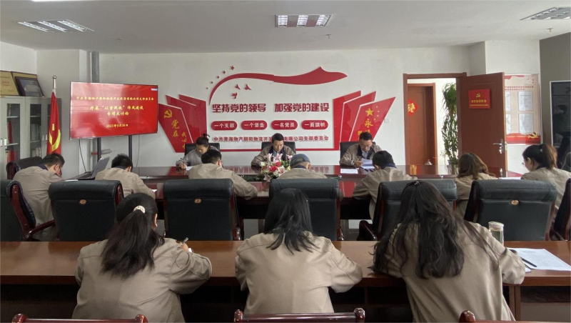 以案促改轉(zhuǎn)作風(fēng) 堅(jiān)守底線樹新風(fēng)   &mdash;&mdash;青海物產(chǎn)朝陽(yáng)物流開發(fā)投資有限公司支部委員會(huì)開展&ldquo;以案促改&rdquo;作風(fēng)建設(shè)專項(xiàng)大討論