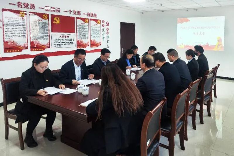 中國共產黨臨空公司黨員大會勝利召開