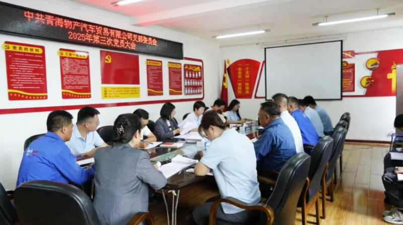 汽貿(mào)公司黨支部深入學(xué)習(xí)貫徹落實(shí)省委十四屆九次全會精神