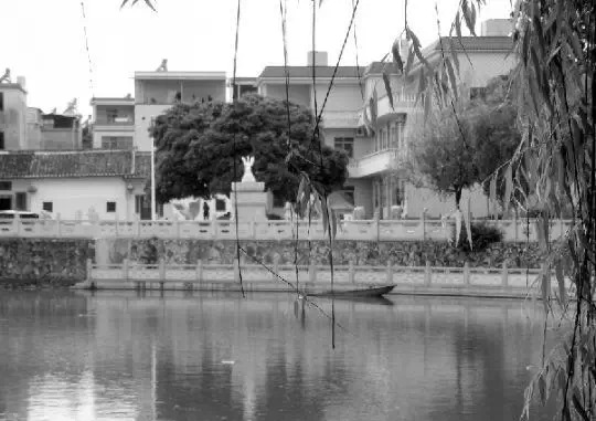 老鄉(xiāng)眼里的李河君：陌生富豪，夫人助其發(fā)財